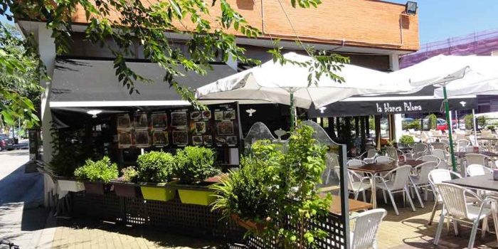 la blanca paloma cashguard la-blanca-paloma-cashguard